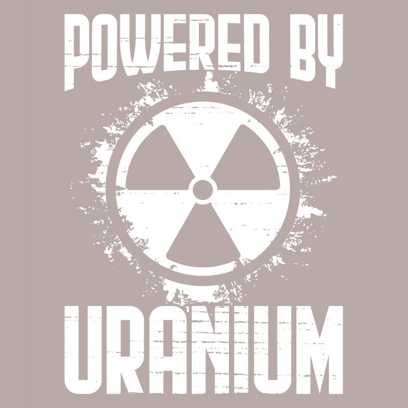 Nuclear Power Plant Nuclear Engineer