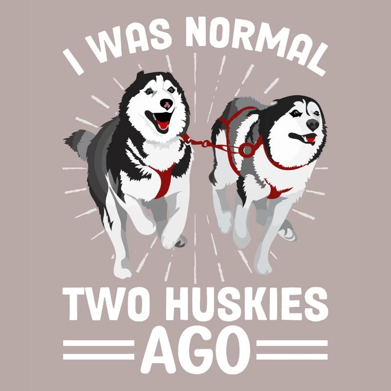 Mushing Dog Sledding Siberian Husky