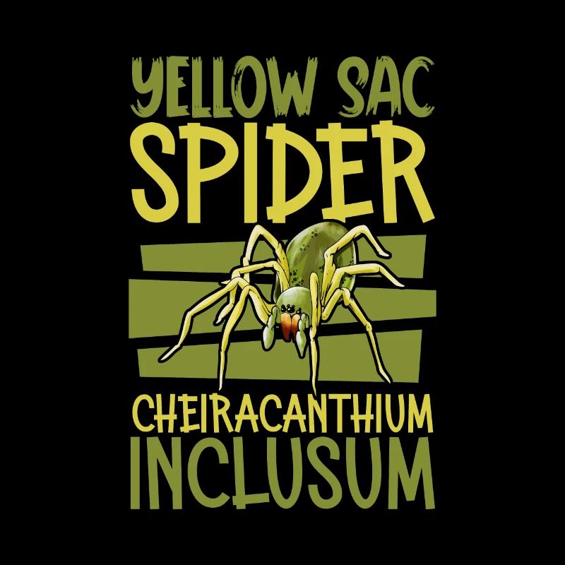 Echte Dornfinger Spinne