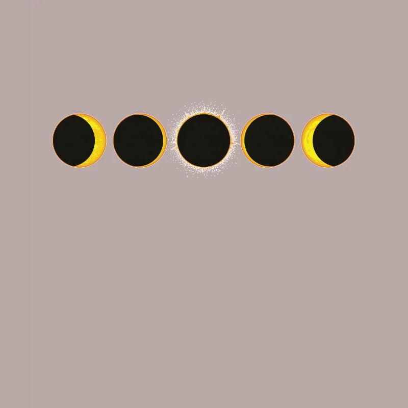 Solar Eclipse Experience Sun