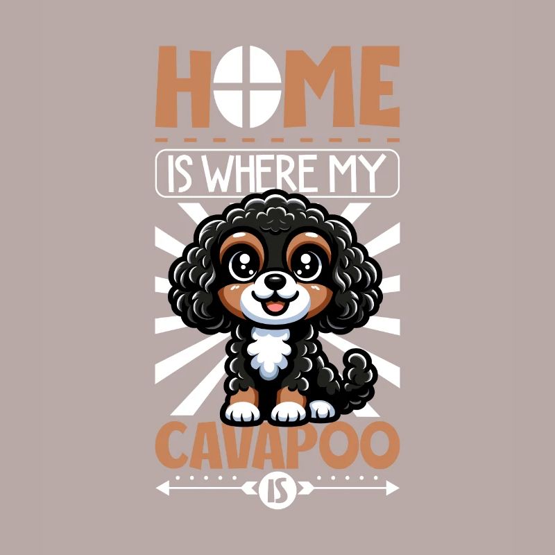 Zuhause - Cavapoo