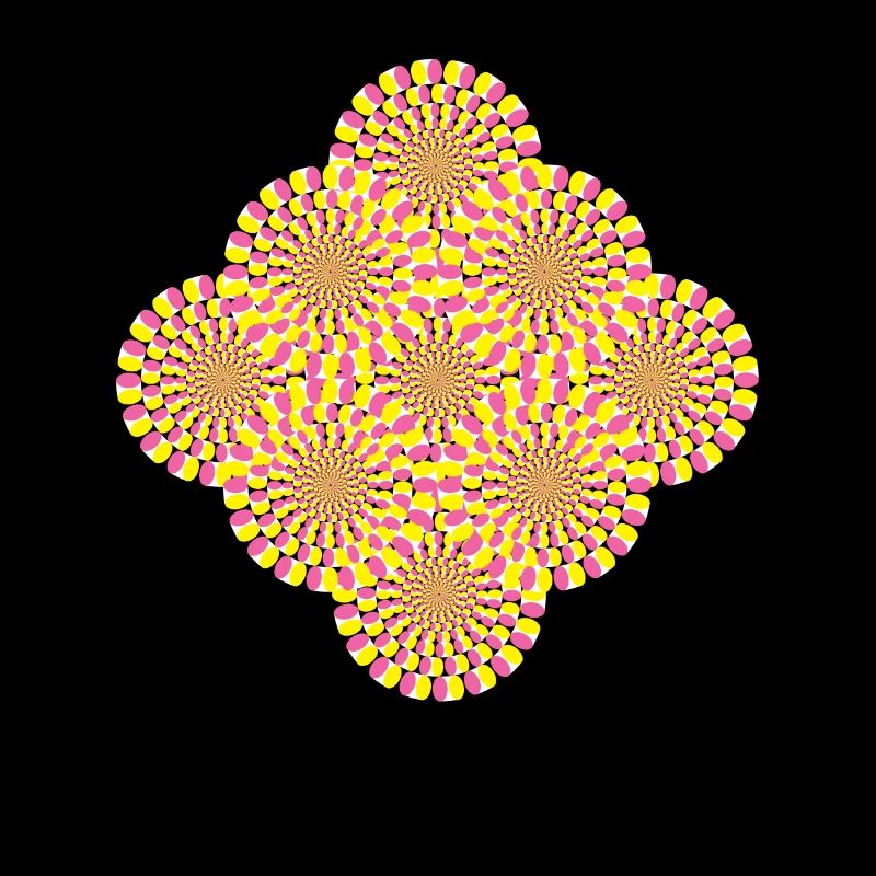 Perception Illusion d’optique Illusion