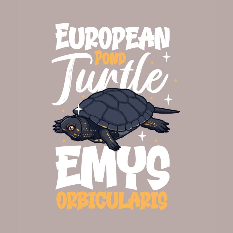 Tortue de l’étang