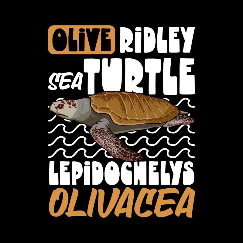 Tortue Ridley du Pacifique