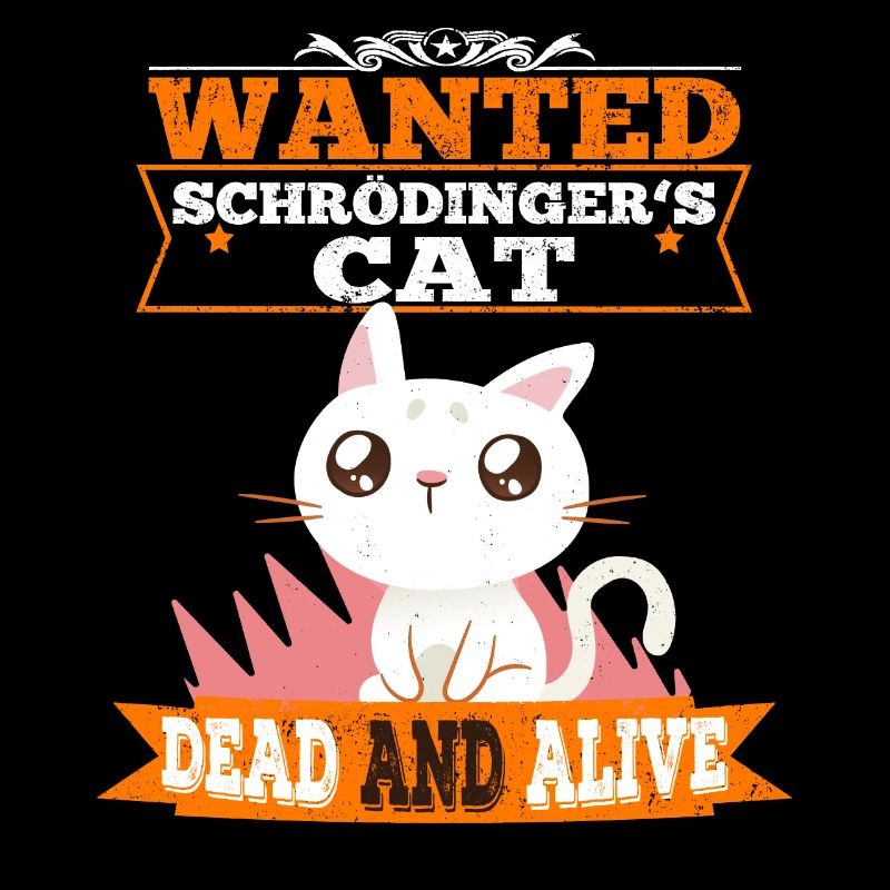Le chat de Schrödinger chat mignon physique quantique