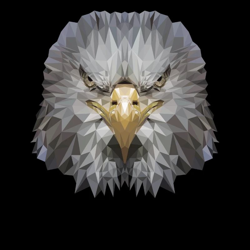 Aigle Polygone Oiseau de proie