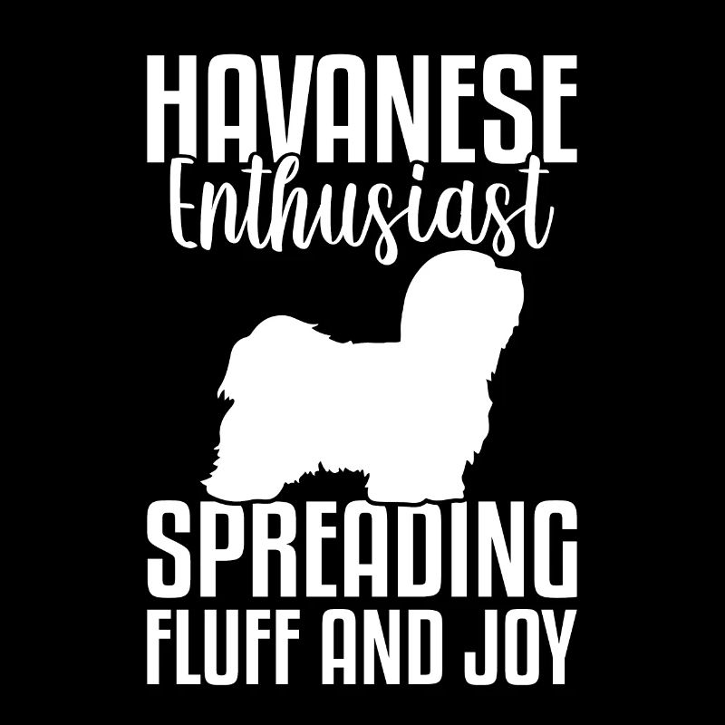 Havanese enthusiast spreading fluff and joy