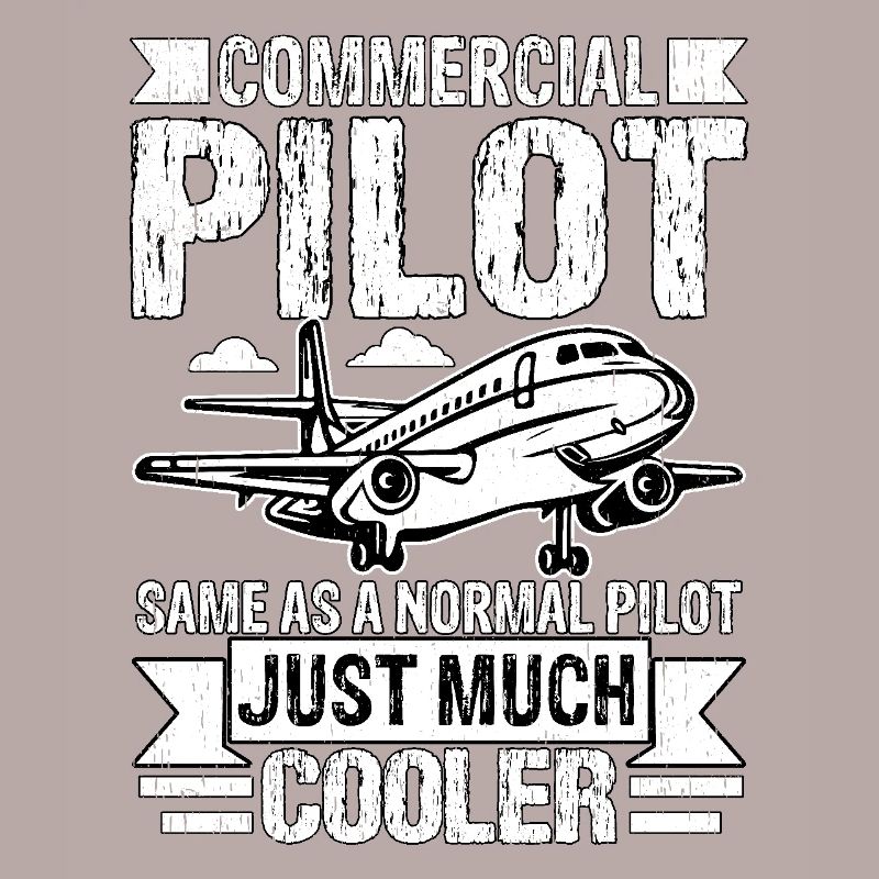 Berufspilot wie ein normaler Pilot nur viel