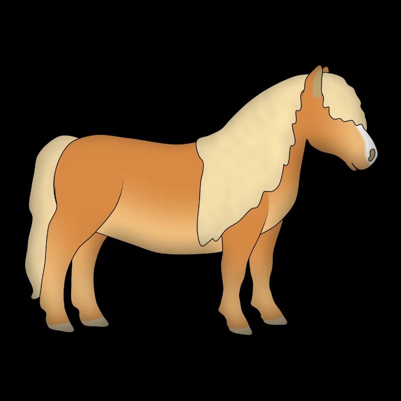 Poney shetland 1