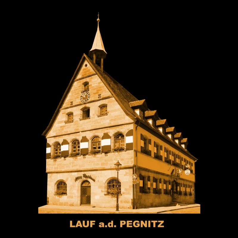 Lauf Pegnitz Rathaus Franken Bayern