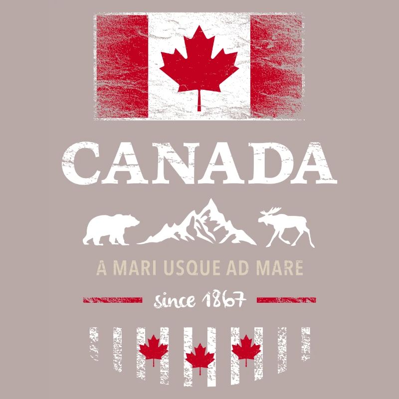 Drapeau unifolié Canada Canada Amérique
