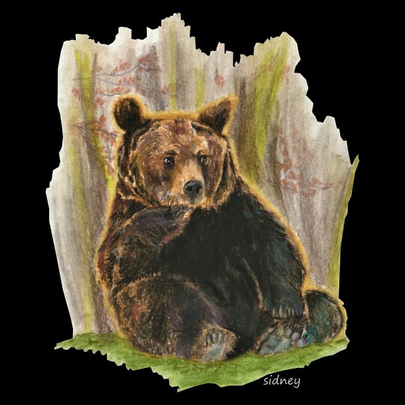 Wester Grizzly