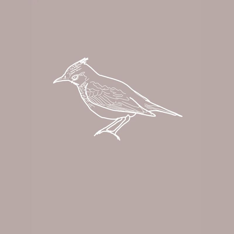 lark