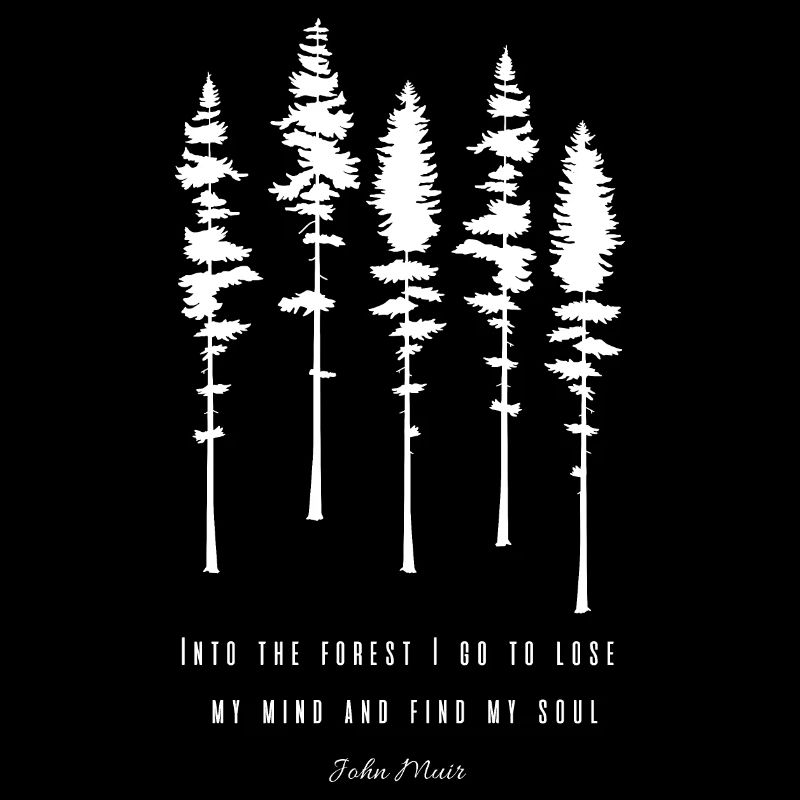 Conifères Citation John Muir