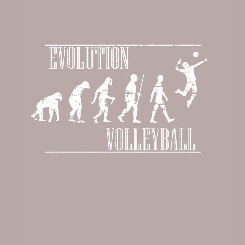 Volleyball Evolution