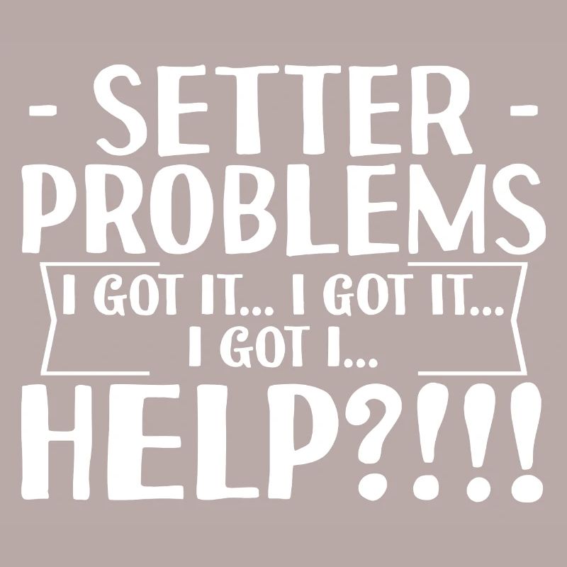 Setter Problems I Got It I Got It I Got It Help4