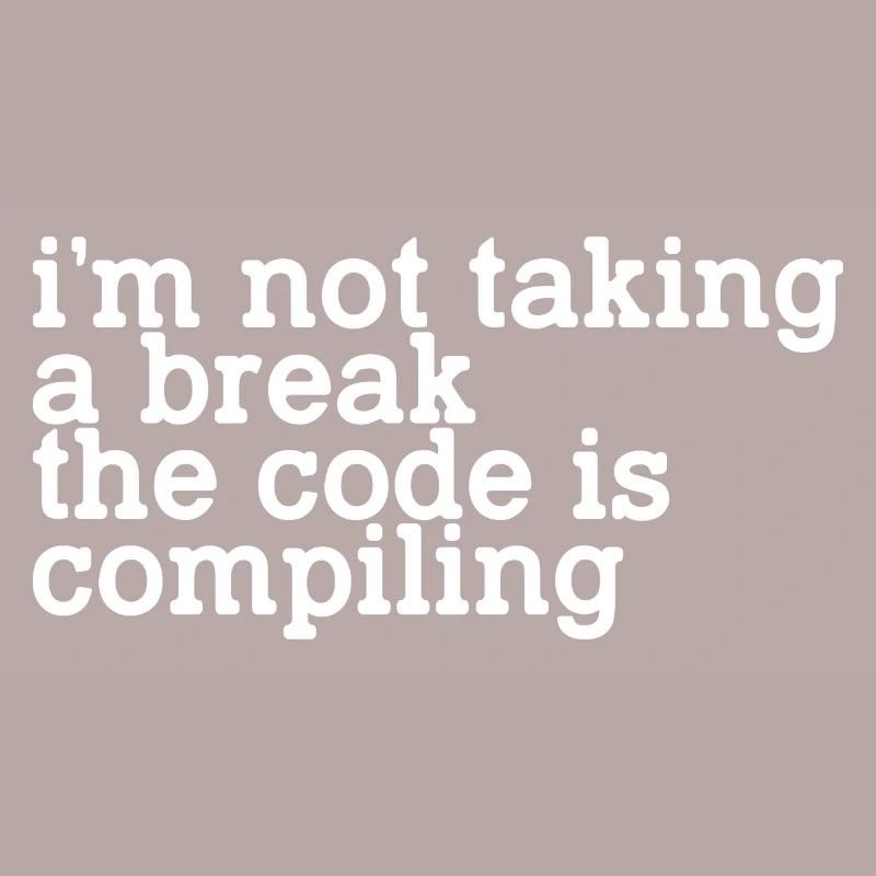 I'm Not Taking A Break, The Code Is Compiling