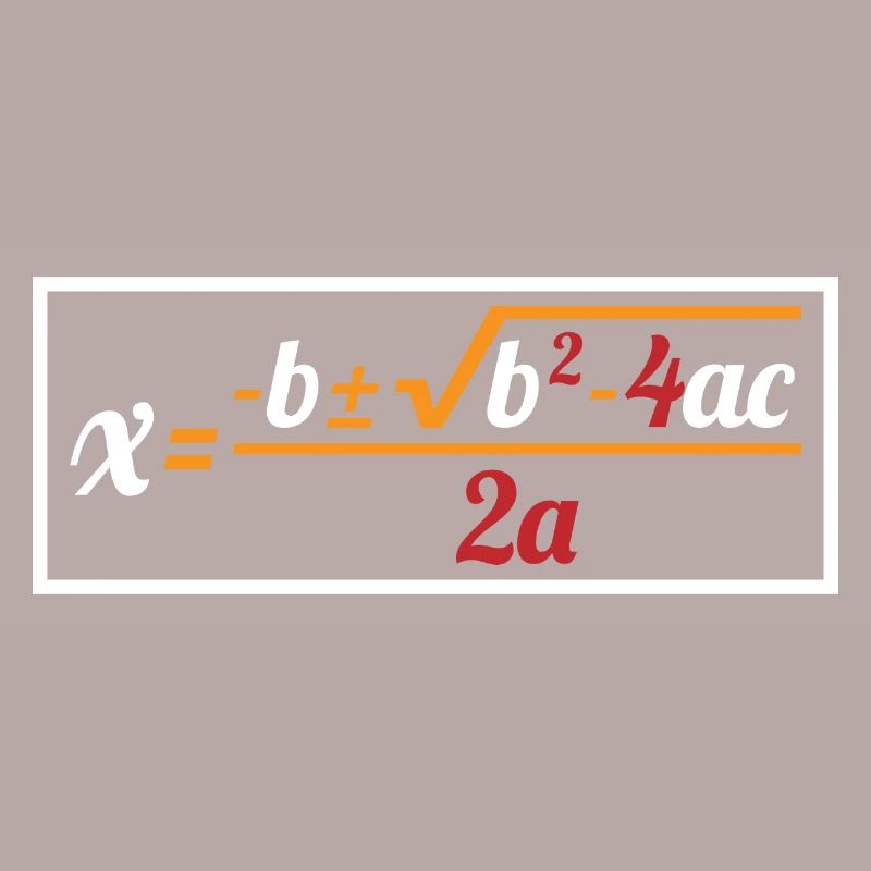 Quadratic Formula For Math Class 8