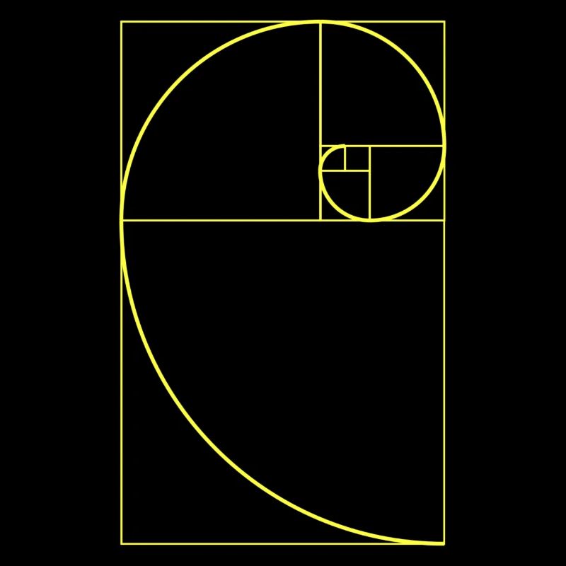 Fibonacci | Mathematics, geometry, cool designs