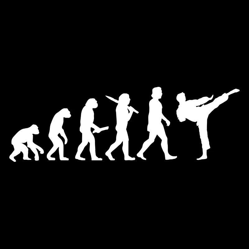Evolution Karate Martial Arts Kick Karateka Gift