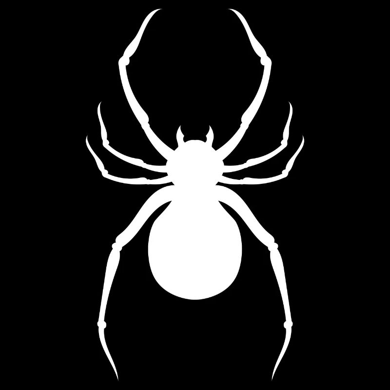 Araignée Silhouette Drôle d’araignée Cadeau d’insecte