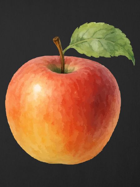 apfel