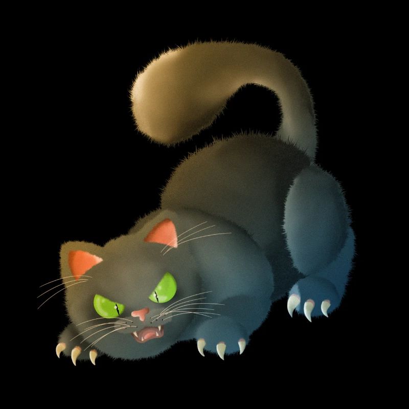 Katze 5