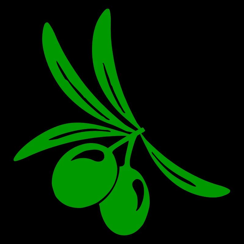 Olive leaf branch