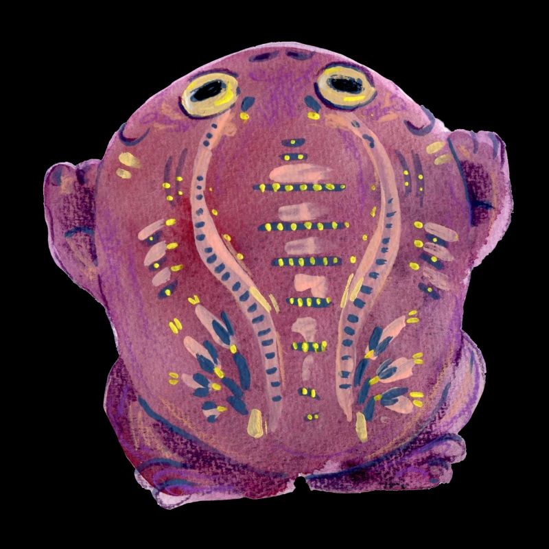 Crapaud violet
