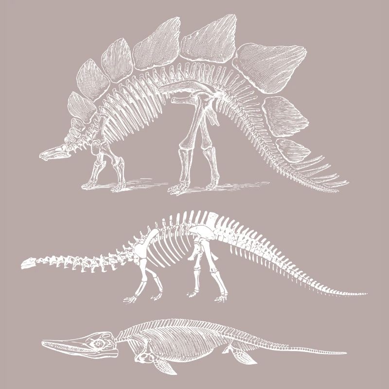 Évolution des dinosaures