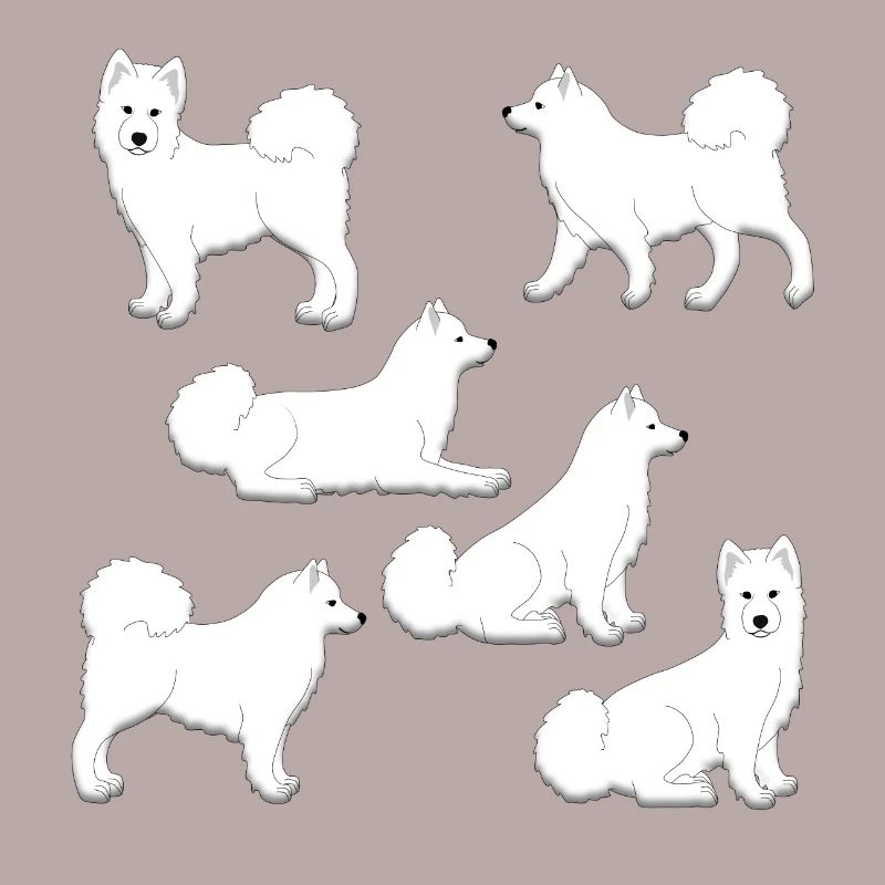 Samoyed selection