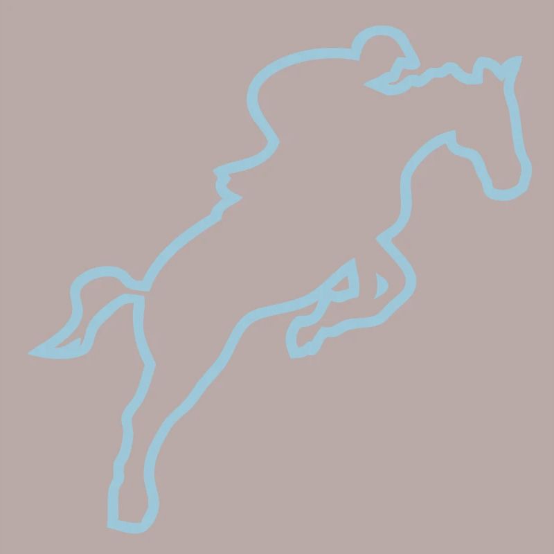 equitation cavalier13 obstacle cheval tr