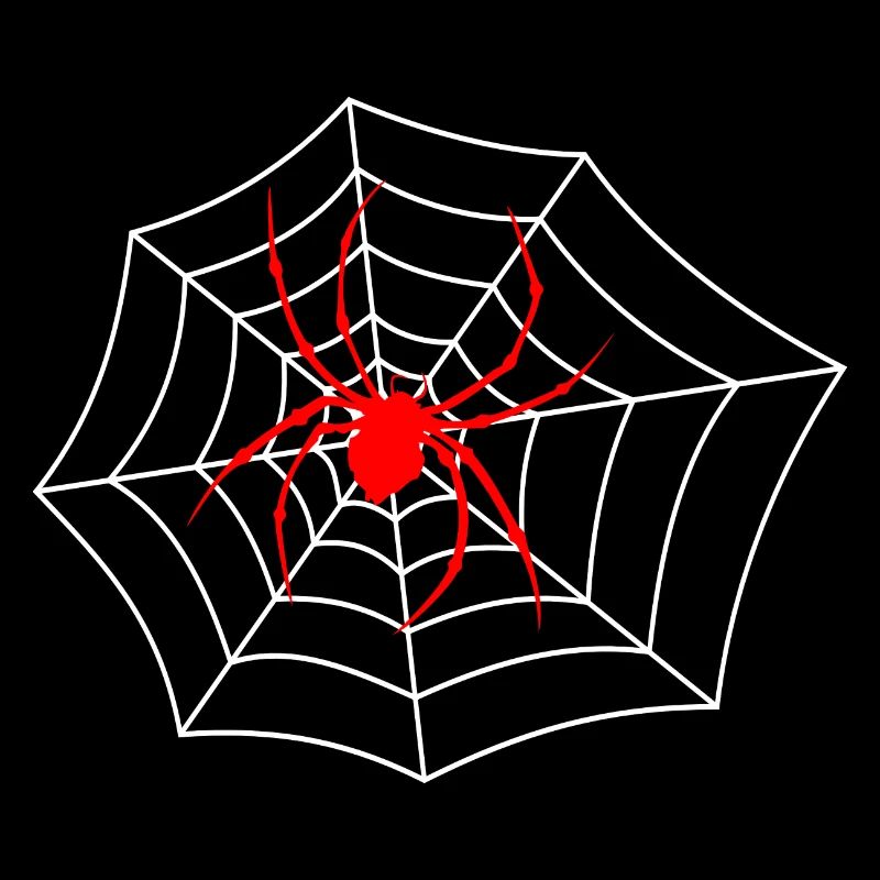 Spinne im Netz