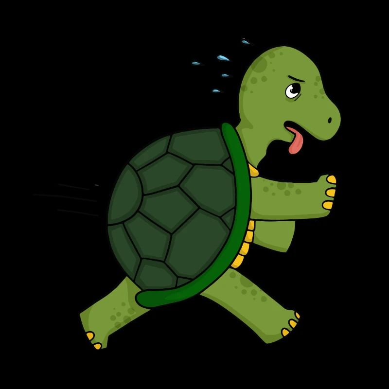tortue