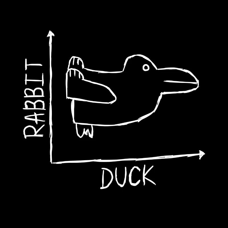Rabbit Duck