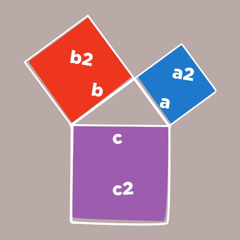 Pythagorean theorem triangle math lover poison