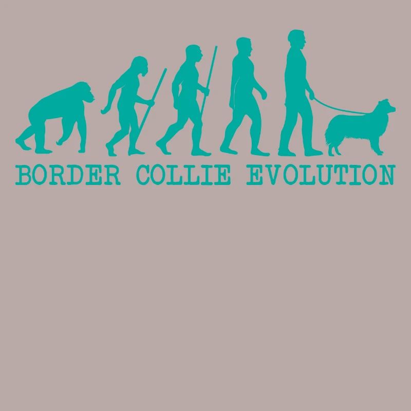 Border Collie Evolution