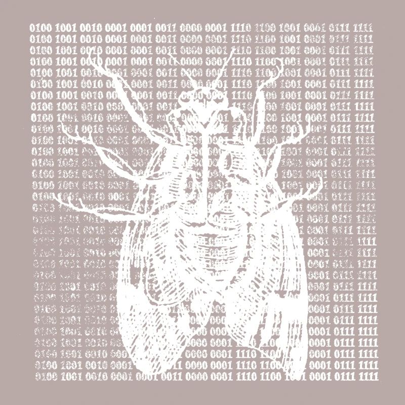 Papillon numérique blanc