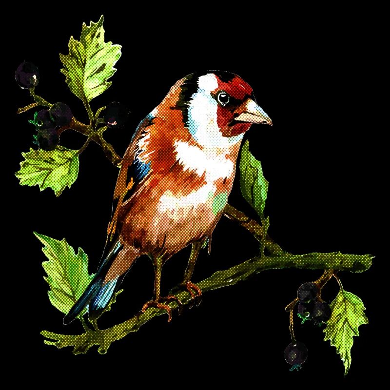 Bunter Vogel