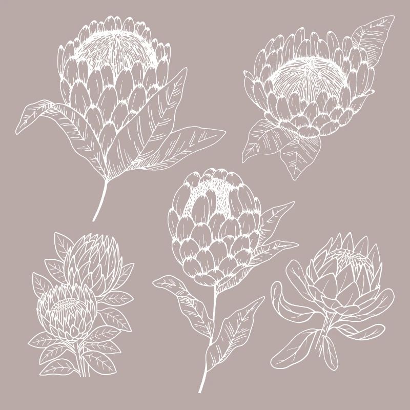 Protea flower group