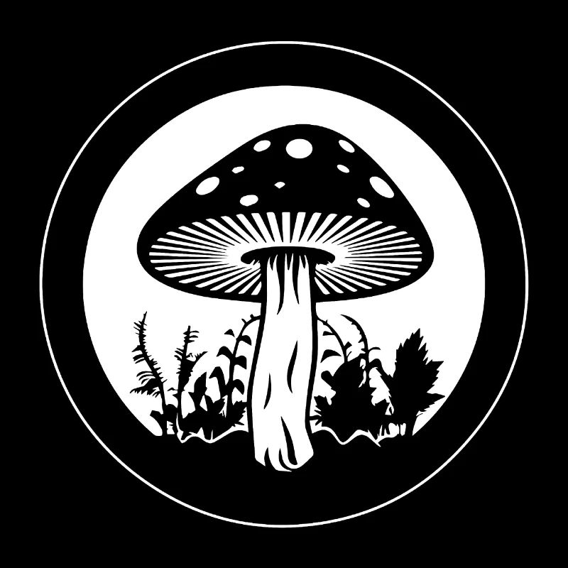 Champignon Cueilleur de champignons Champignons Champignons