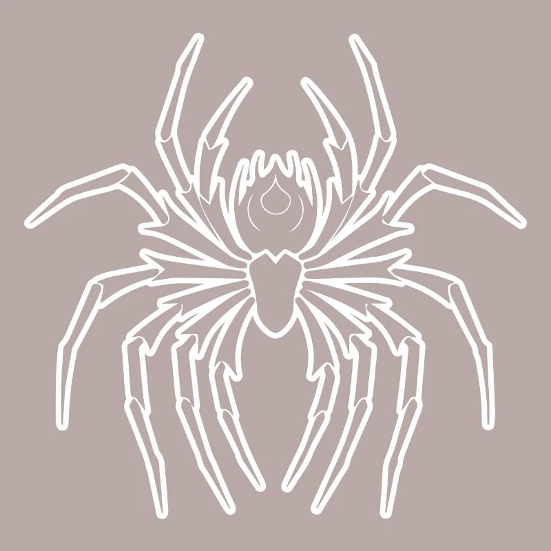 Spider spiders animals