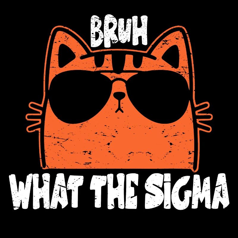 Bruh what the sigma ?