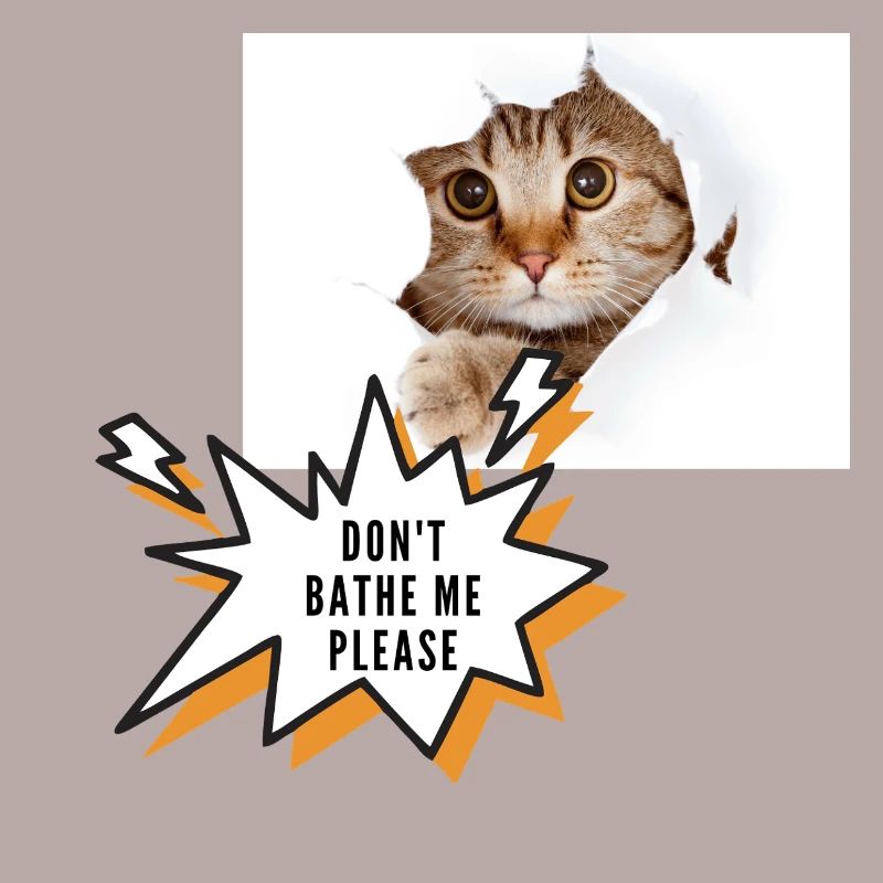 Ne me baigne pas chat