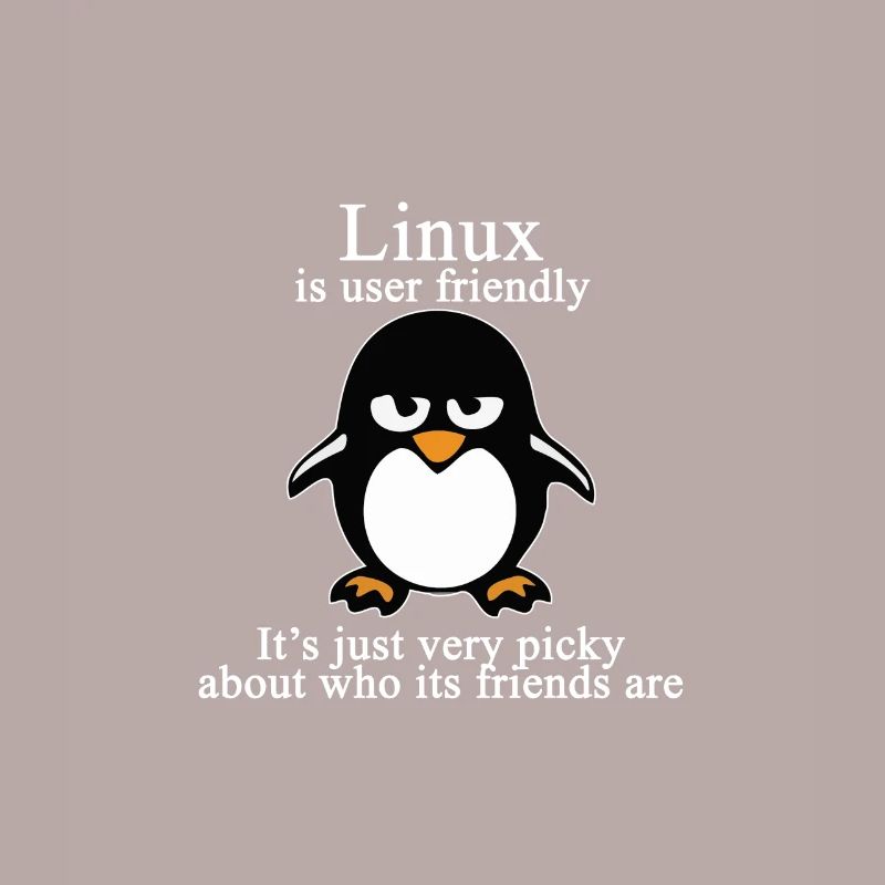 Programmation cadeau informatique · Convivial