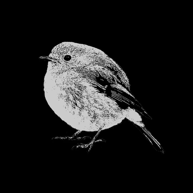 Robin sw