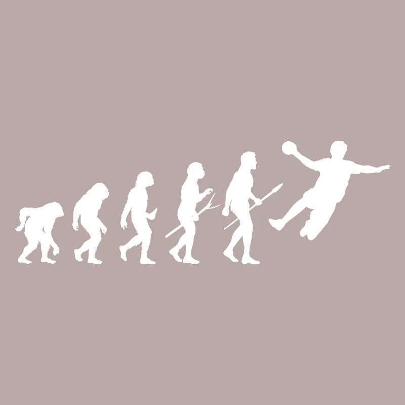 Handball Joueurs Evolution Handball