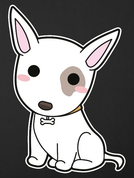 Bullterrier