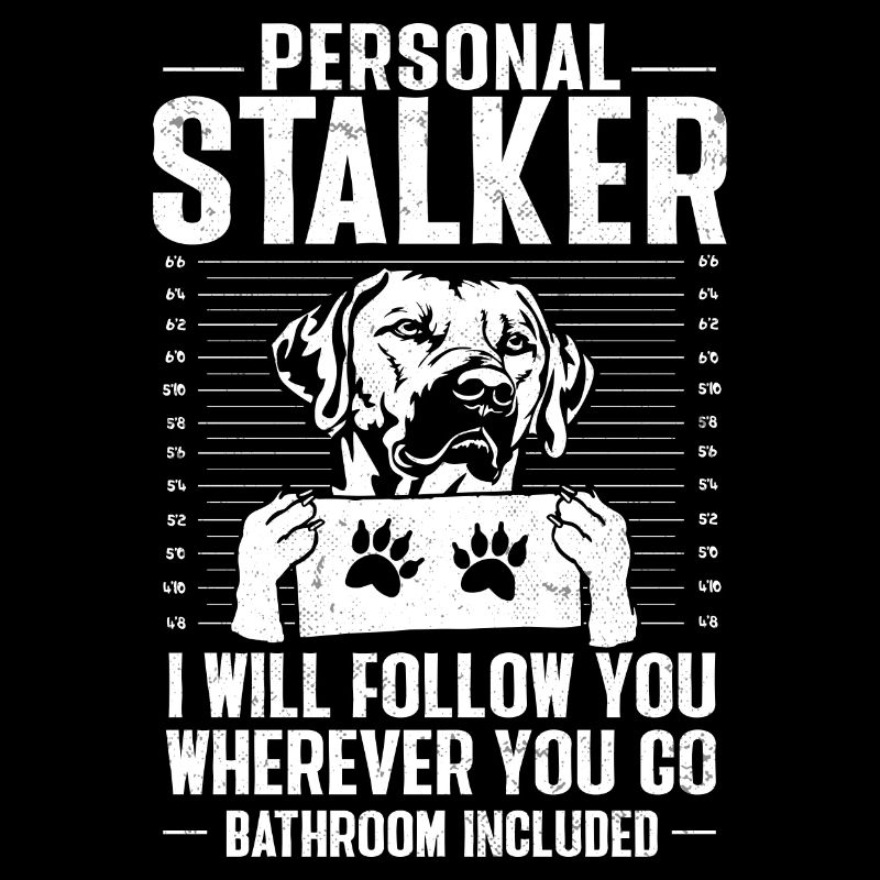 Chien Rhodesian Ridgeback
