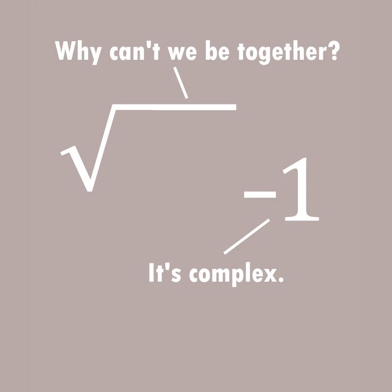 Math joke mathematician gift nerd teacher